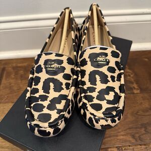 Coach Womens Marley Driver Loafers Leopard Size 8 B New York New In Box